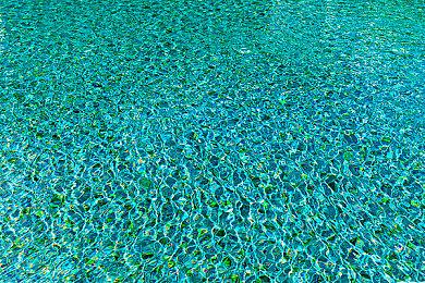 CDPR庆祝20周年 开启免费赠送数字奖励包活动